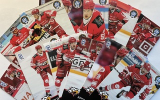 2024-25 Blueline Sport teamset