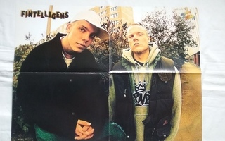 juliste Fintelligens / Eminem