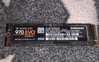 Kovalevy - SSD - M.2 - 250GB