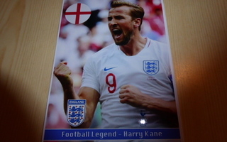 Harry Kane Jalkapallo Legenda Football Legend valokuva