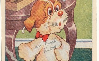 Arnold TILGMAN - Koira ja sikarit - Kenttäpostia 1943
