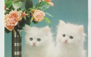 Artko : Kaksi kissaa kukkamaljakon seurana pöydällä  (R)
