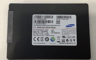 256 GB SSD kovalevy SATA