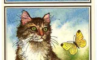 Kissa ja perhonen (piirretty kortti) #320B