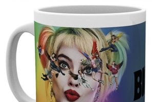 BIRDS OF PREY KEY ART MUG	(61 358)	(mg3778(