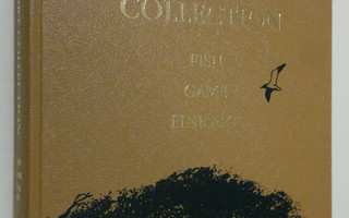 Jane McCallister : Rockport Collection Fish Game Fine Art