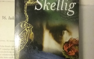 David Almond - Nimeni on Skellig (pokkari)