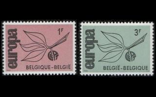 Belgia 1399-400 ** Europa (1965)