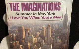 The Imaginations – Summer In New York / Love You When 7"