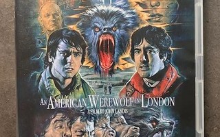 An American Werewolf in London - Arrow UK Blu-ray