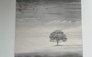 GENESIS - Wind & Wuthering LP (1976)