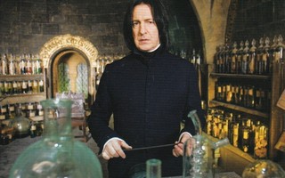 Severus Kalkaros ja taikajuomat (postikortti)