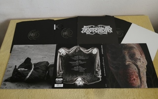 FESTERDAY - The Four Stages Of Decomposition LP