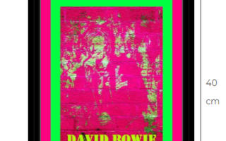 David Bowie canvastaulu 30 cm x 40 cm musta kehys