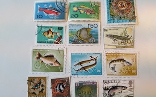 Postimerkki aihekokoelma kaloja 13 erilaista