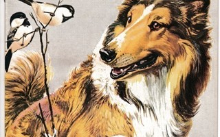 LASSIE 1980 8 (kustantajan lukematon arkistokappale)