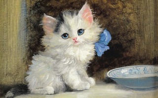 Meta Pluckebaum: Kissanpennulla sininen rusetti