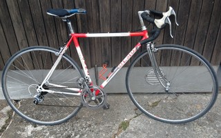 Olmo  51cm