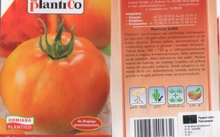 Tomaatti "Lolek" siemenet