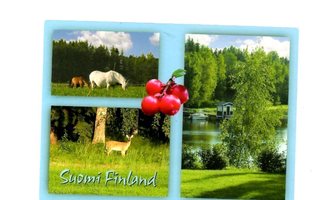 "°KESÄISEN KAUNISTA"° -KORTTI / Suomi Finland (Markku Wiik)