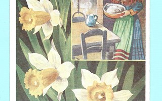 Vanha kortti: Narsissit, nainen kansallispuvussa