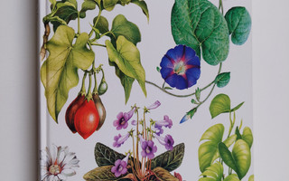 Jiri Haager : Kodin kukkia : huonekasvikirja