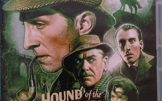 The Hound of the Baskervilles