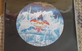 LUCA TURILLI/ANCIENT FOREST OF ELVES 12" PIC-MAXI