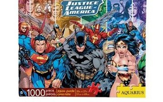 Justice League AMERICA,  UUSI