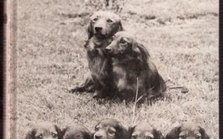 Att lyckas med hundavel (Sundgren, 1975)