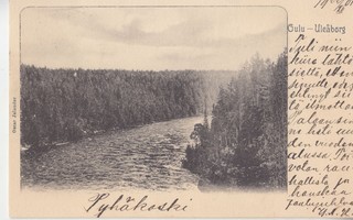 Oulu kortti 1901