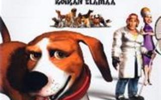 Dogs Life - Koiran Elämää (CIB) PS2 (Käytetty)