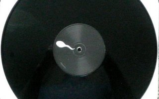 Josh WINK; ... are you there 12" PROMO
