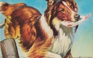 LASSIE 1973 9