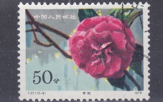 Kiina 1979 ruusu