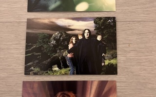 Harry Potter kortti