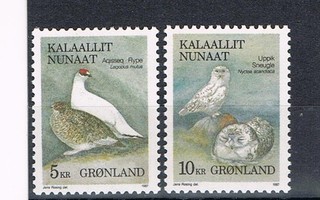 Grönlanti 1987 - Lintuja (2)  ++