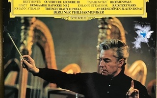 Herbert von Karajan & Wienin filharmonikot lp