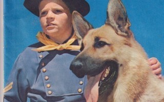 RIN TIN TIN 1961 3