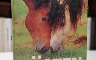 Min vän hästen - En bok med berättelser och fakta - Bonnier