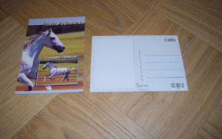 postikortti hevonen harja hulmuten eteenpäin elämässä