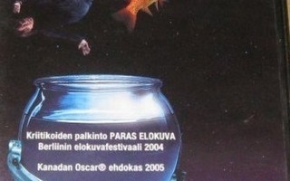 Kuun Pimeä Puoli DVD