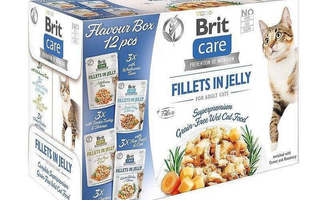BRIT Care Fillets in Jelly Flavour Box- wet cat 