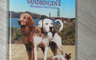 Kotia Kohti II Seikkailu San Franciscossa - DVD