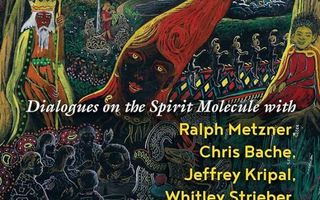 DMT Entity Encounters: Dialogues on the Spirit Molecule