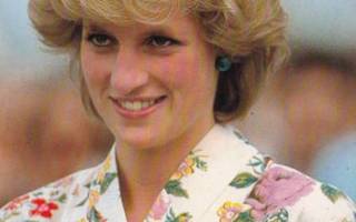 Diana Princess of Wales    p142