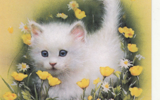 Kissanpentu kukkien keskellä.