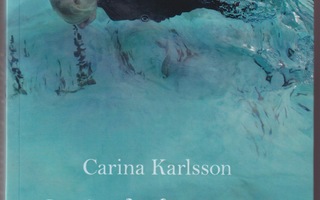 Carina Karlsson: Mirakelvattnet