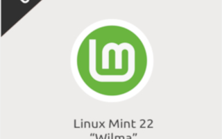 Linux Mint Wilma 22 Cinnamon USB