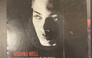 Terence Trent D'Arby - Wishing Well 7''